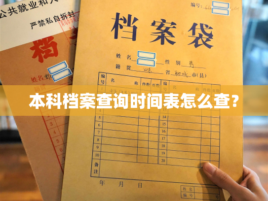 本科档案查询时间表怎么查？