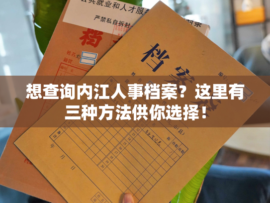 想查询内江人事档案？这里有三种方法供你选择！