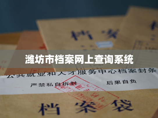 潍坊市档案网上查询系统