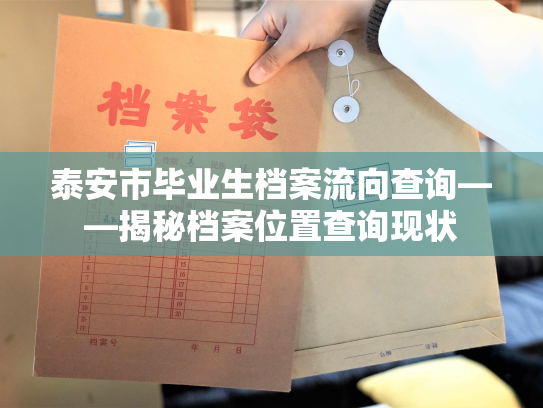 泰安市毕业生档案流向查询——揭秘档案位置查询现状