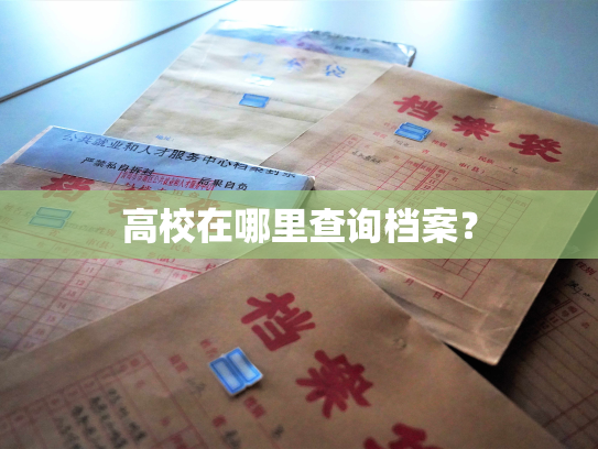 高校在哪里查询档案？