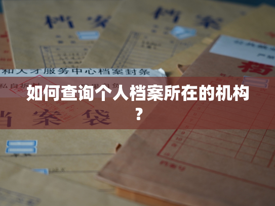 如何查询个人档案所在的机构？