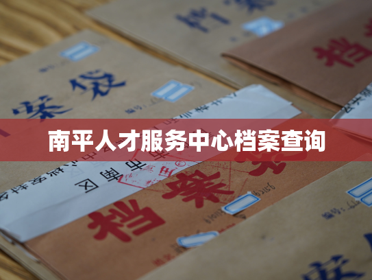 南平人才服务中心档案查询