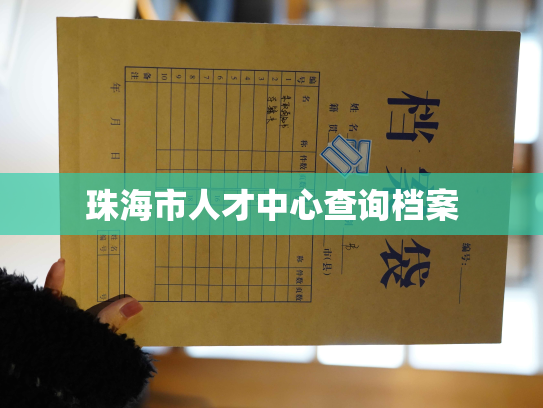 珠海市人才中心查询档案