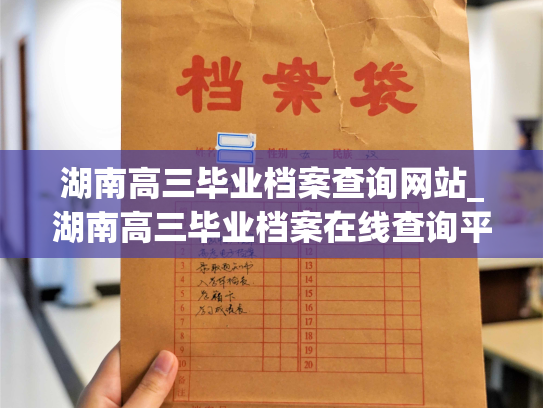 湖南高三毕业档案查询网站_湖南高三毕业档案在线查询平台：轻松查询您的高中生涯！