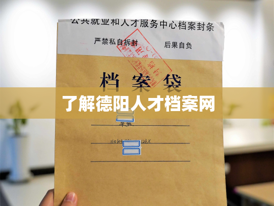 了解德阳人才档案网