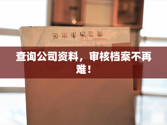 查询公司资料，审核档案不再难！