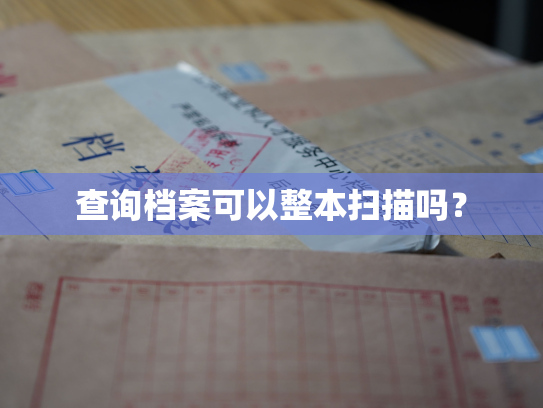 查询档案可以整本扫描吗？