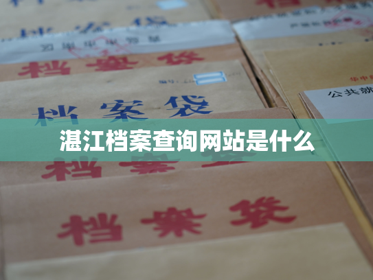 湛江档案查询网站是什么