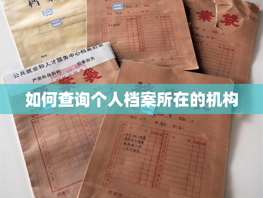 如何查询个人档案所在的机构