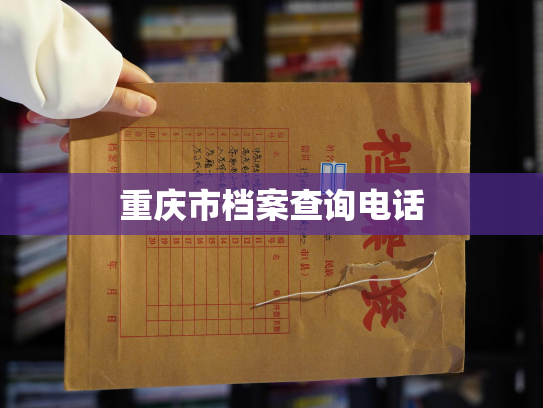 重庆市档案查询电话