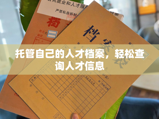 托管自己的人才档案，轻松查询人才信息