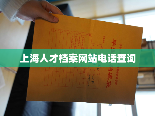 上海人才档案网站电话查询
