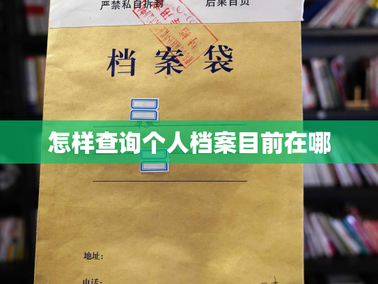 怎样查询个人档案目前在哪