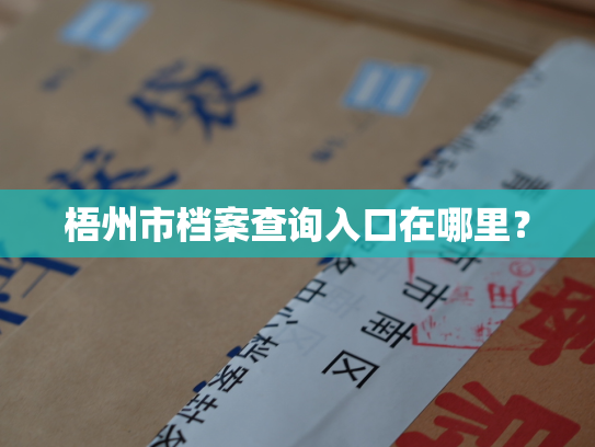 梧州市档案查询入口在哪里？