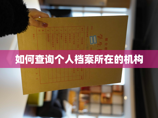 如何查询个人档案所在的机构