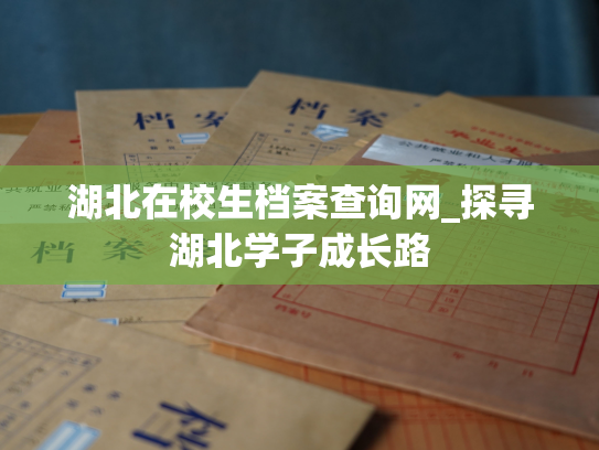湖北在校生档案查询网_探寻湖北学子成长路