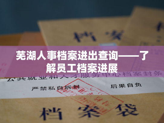 芜湖人事档案进出查询——了解员工档案进展