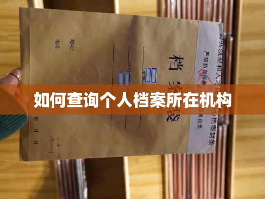 如何查询个人档案所在机构