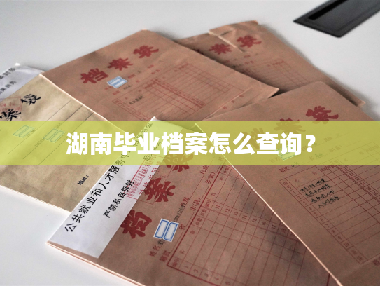 湖南毕业档案怎么查询？