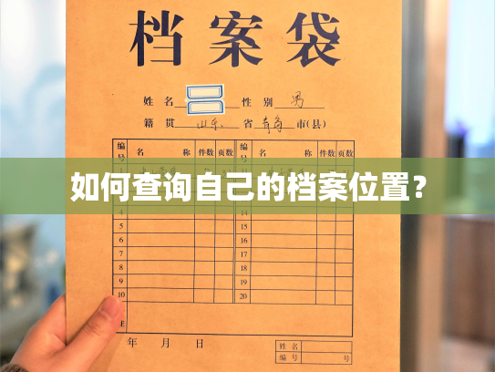 如何查询自己的档案位置？