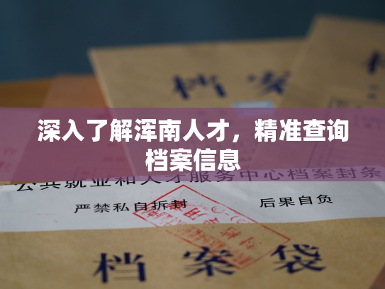深入了解浑南人才，精准查询档案信息