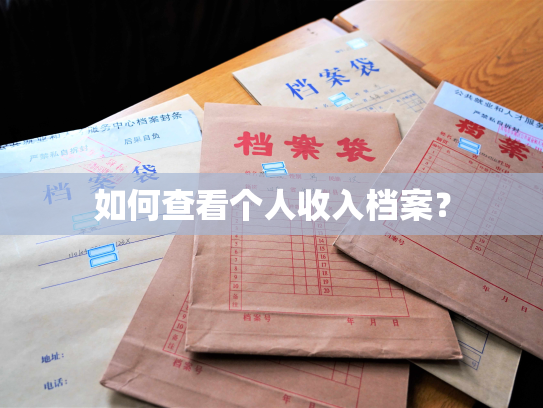 如何查看个人收入档案？