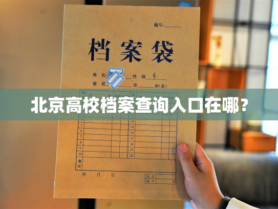 北京高校档案查询入口在哪？