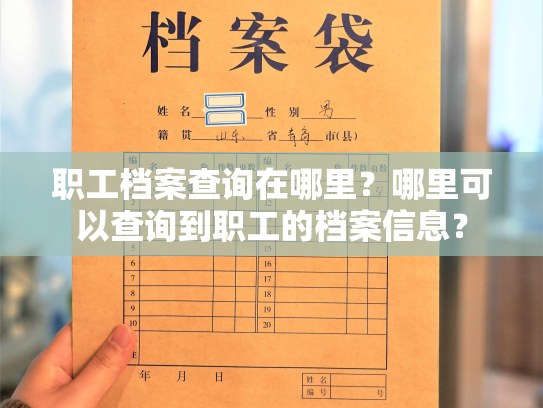 职工档案查询在哪里？哪里可以查询到职工的档案信息？