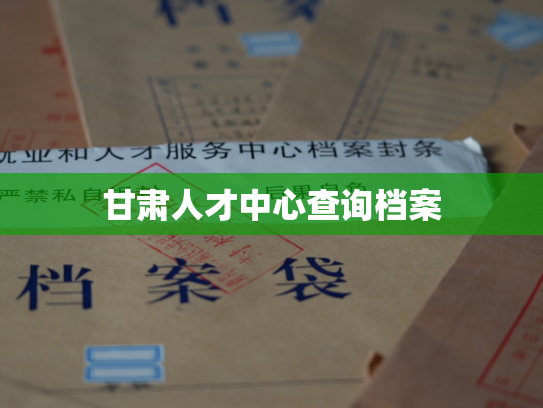 甘肃人才中心查询档案