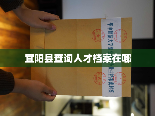 宜阳县查询人才档案在哪