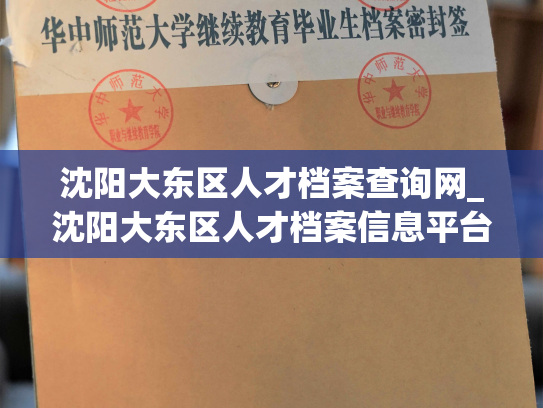 沈阳大东区人才档案查询网_沈阳大东区人才档案信息平台：常见问题及解决方法