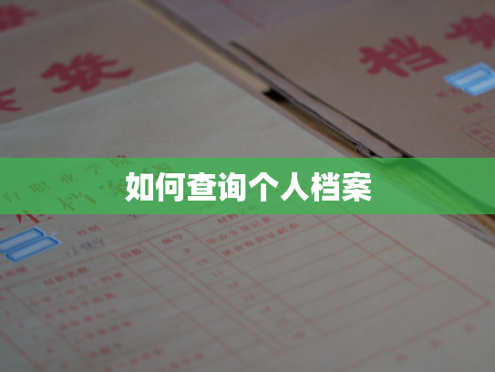 如何查询个人档案