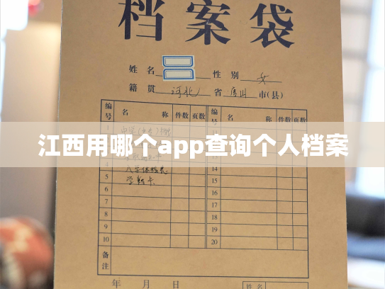 江西用哪个app查询个人档案