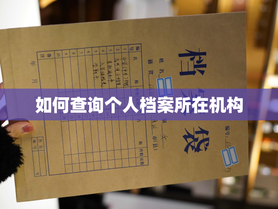 如何查询个人档案所在机构