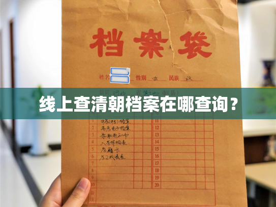 线上查清朝档案在哪查询？