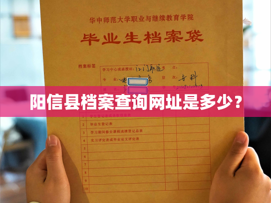 阳信县档案查询网址是多少？