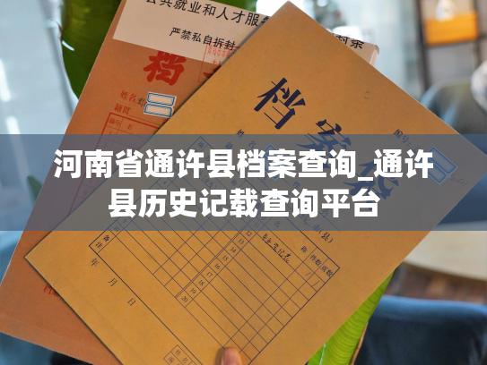 河南省通许县档案查询_通许县历史记载查询平台