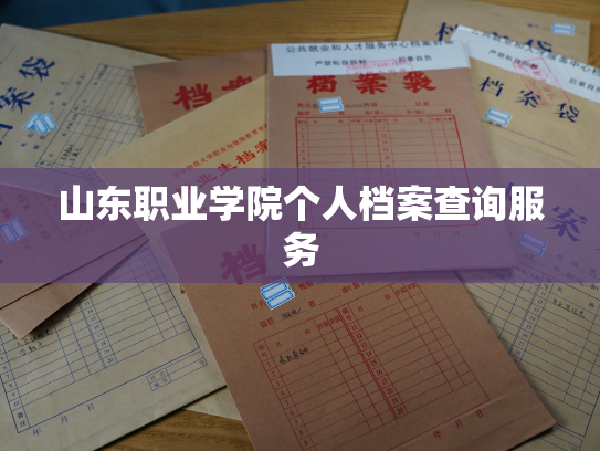 山东职业学院个人档案查询服务