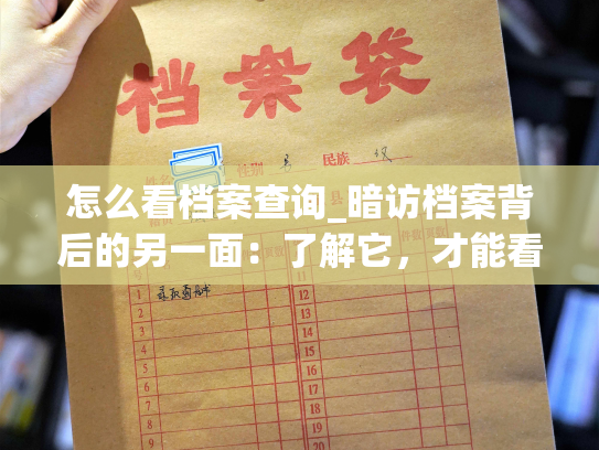 怎么看档案查询_暗访档案背后的另一面：了解它，才能看到更多。