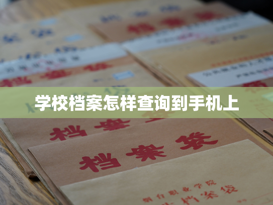 学校档案怎样查询到手机上