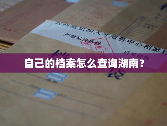 自己的档案怎么查询湖南？