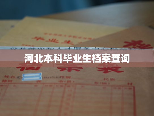 河北本科毕业生档案查询