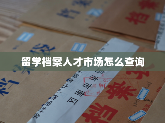 留学档案人才市场怎么查询