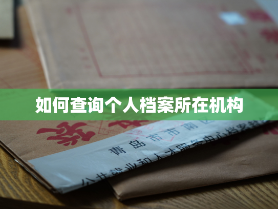 如何查询个人档案所在机构