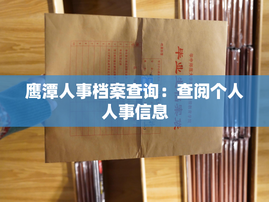 鹰潭人事档案查询：查阅个人人事信息