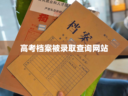 高考档案被录取查询网站