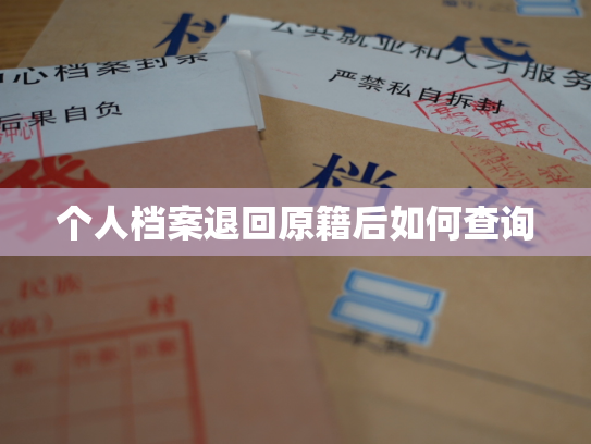 个人档案退回原籍后如何查询