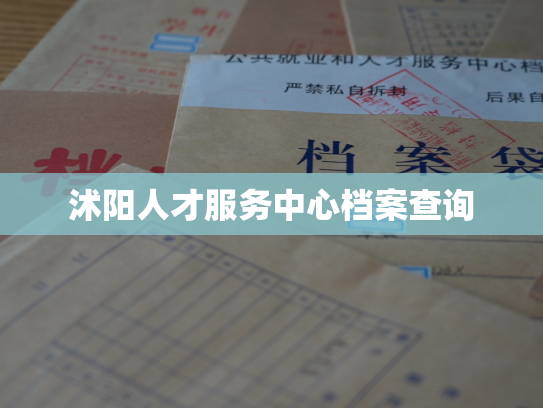 沭阳人才服务中心档案查询