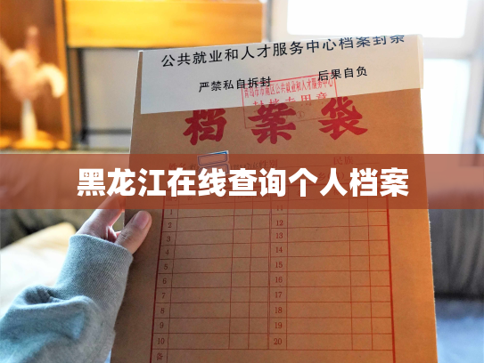 黑龙江在线查询个人档案